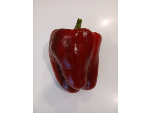 Pimiento