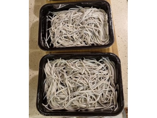 Angulas Del Río Miño...