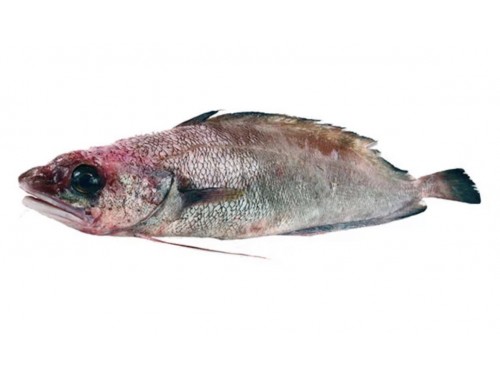 Bertorella + 500 g. 5,30 E/ K