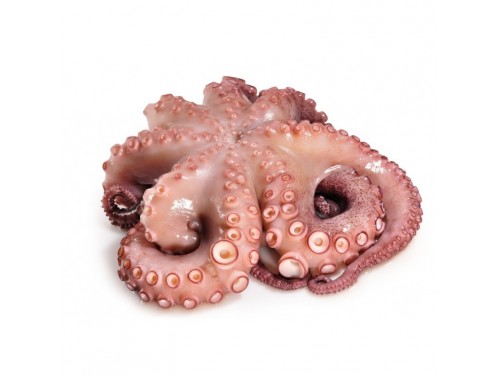 Pulpo Gallego Limpio, en pieza de 2Kg.