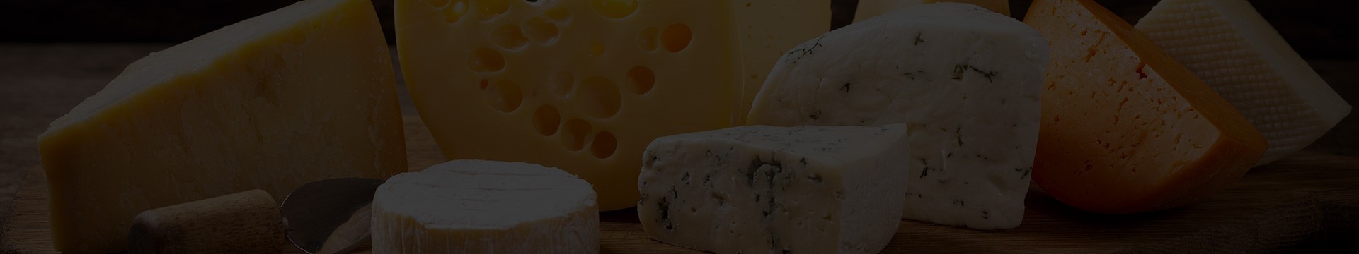 Quesos y Productos Lácteos. Tienda gourmet